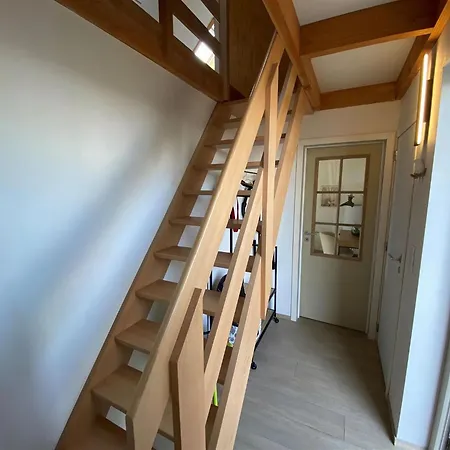 Beautiful Polder House Near